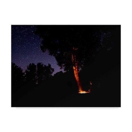 Brenda Petrella Photography Llc 'Campfire Under The Meteors' Canvas Art,18x24